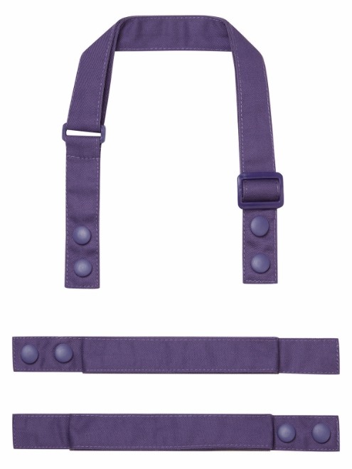 Viola